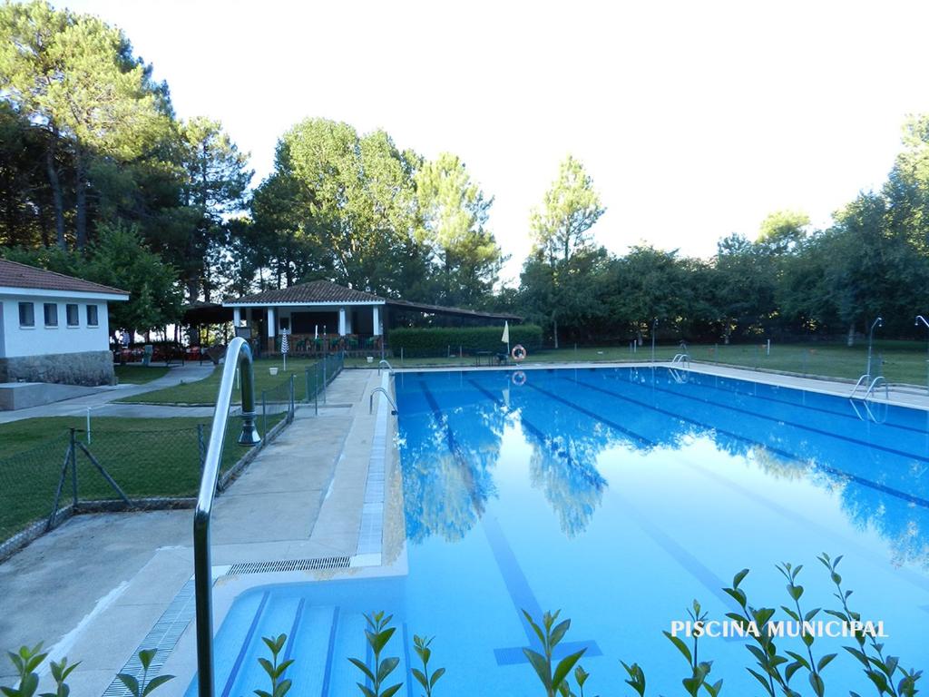 Imagen 5